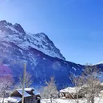 Mettli-2 By Interhome Grindelwald