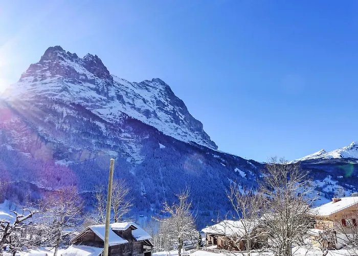 Mettli-2 By Interhome Grindelwald